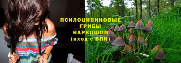 гидропоника Абаза