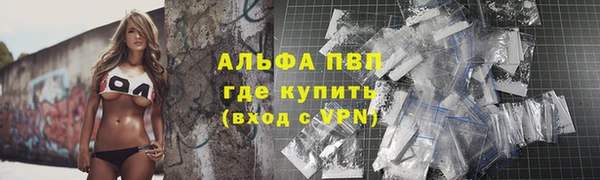 индика Алексеевка