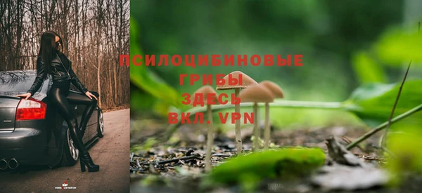 стафф Абинск