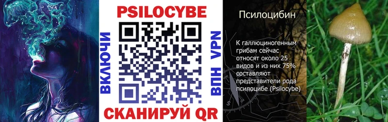OMG ТОР  Отрадное  Псилоцибиновые грибы прущие грибы  купить  